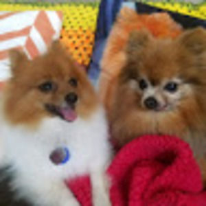 Meet your Posher, Andrea